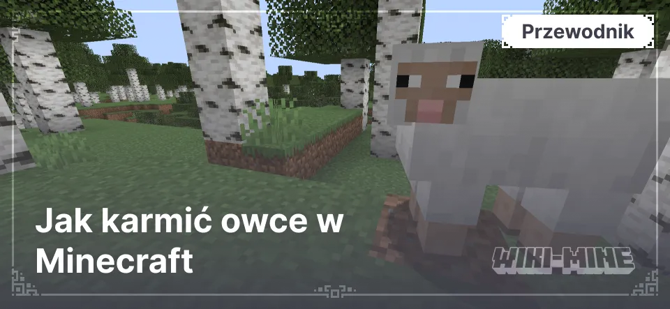 Jak karmić owce w Minecraft