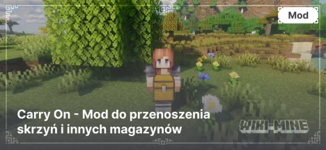 Carry On - Mod do przenoszenia skrzyń i innych magazynów