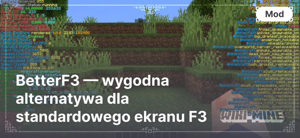 BetterF3 — wygodna alternatywa dla standardowego ekranu F3 BetterF3 — wygodna alternatywa dla standardowego ekranu F3