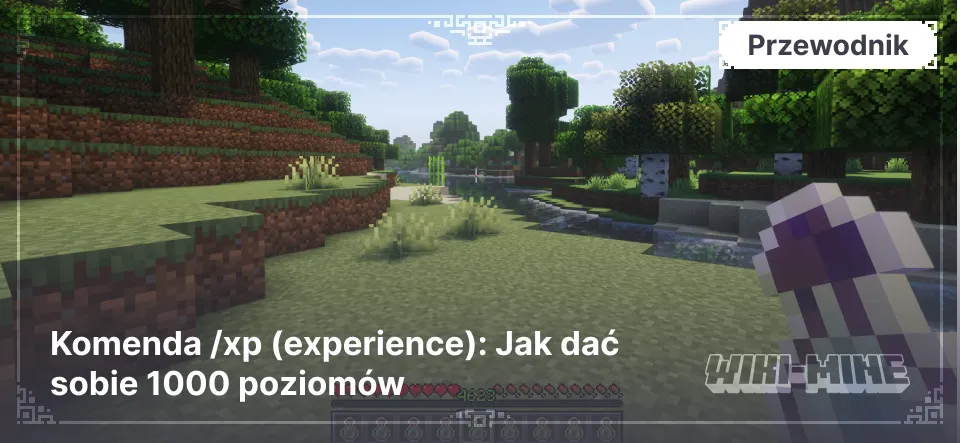 Komenda /xp (experience): Jak dać sobie 1000 poziomów